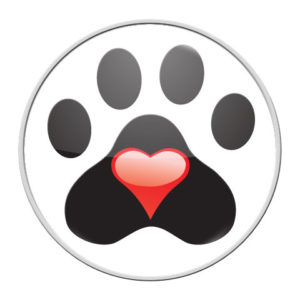 PAW – RaceDots rajtszámtartó mágnes